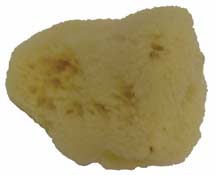 TM474 SILK SPONGE NATURAL #3 (2-1/2-3") EACH