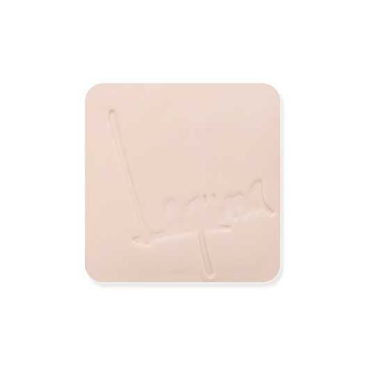 NS-121 WARM BLUSH ^5 PORCELAIN SLIP, GAL
