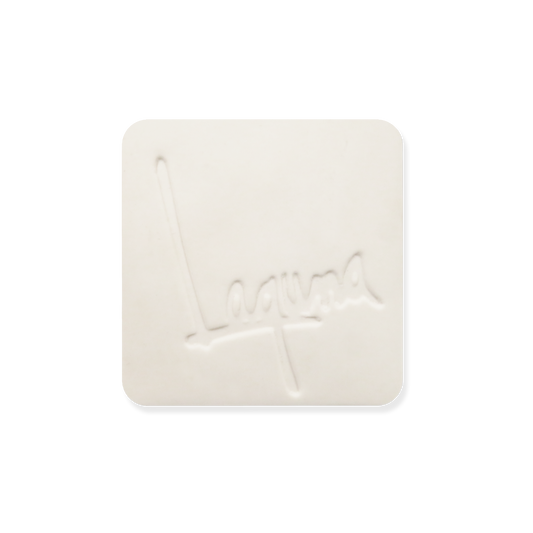 NS-124 ANTIQUE WHITE ^5 PORCELAIN SLIP, GAL