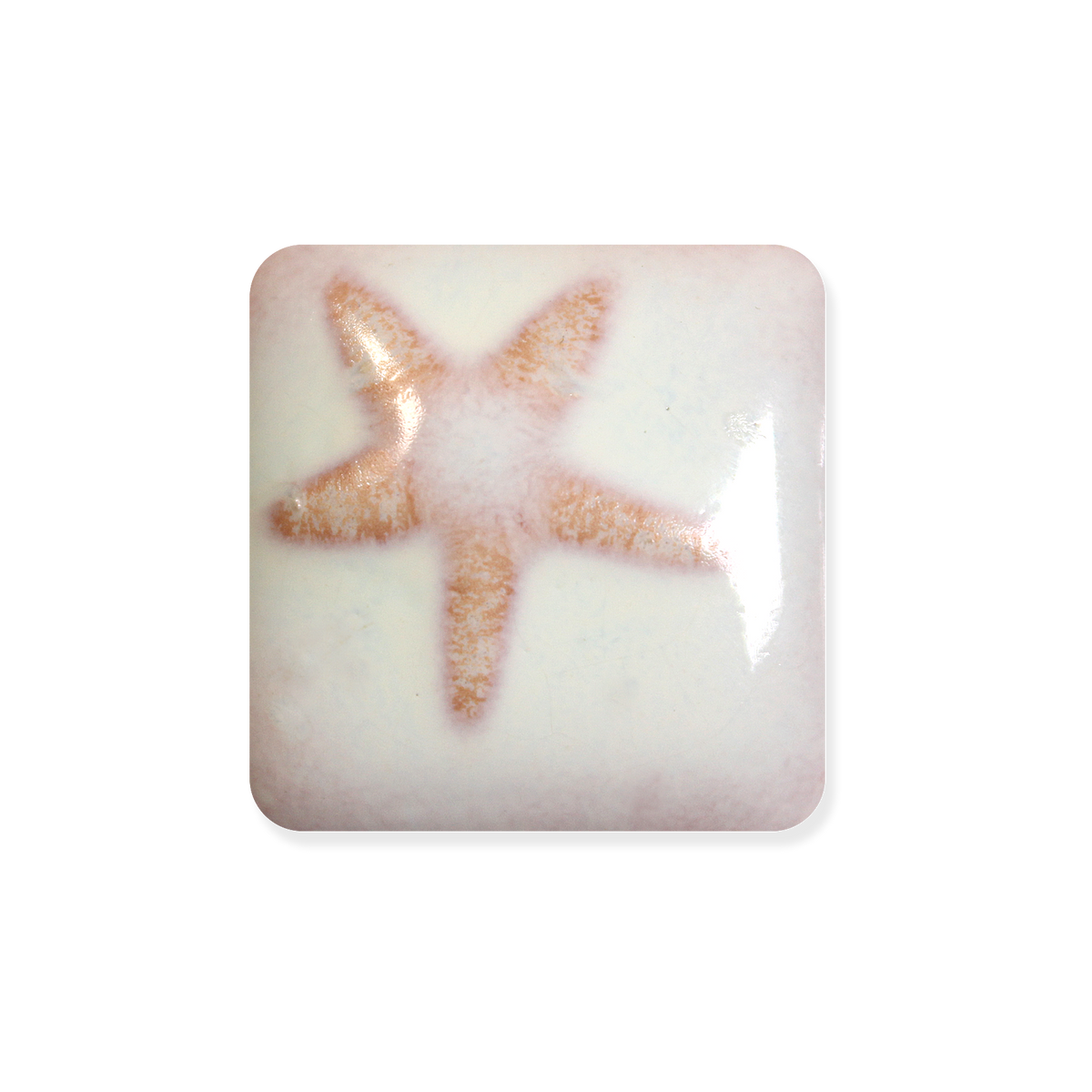 MS-224 MINT SPICE GLAZE-Dry