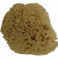 ROCK ISLAND SPONGE NATURAL APX 4-5" EACH TM471