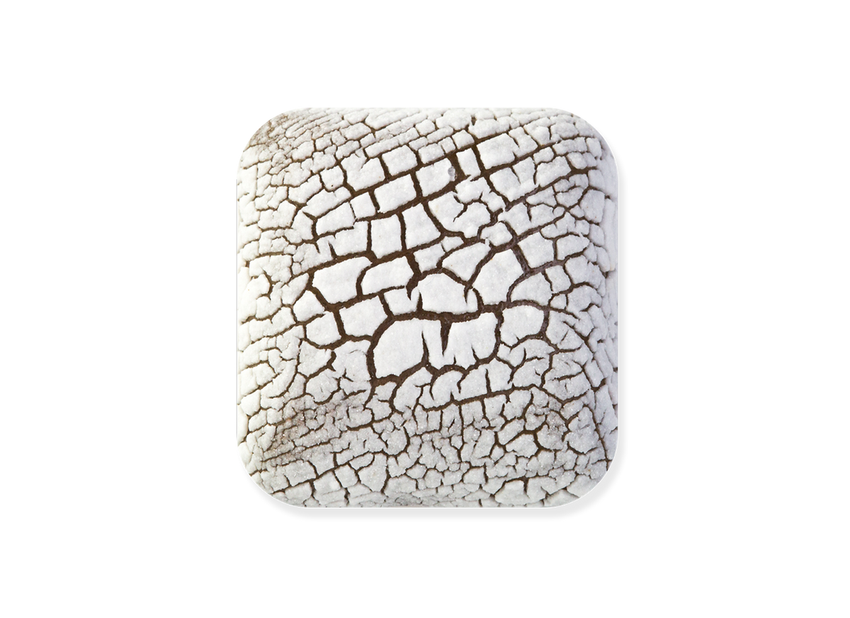 DL-100 DRY LAKE FOSSIL WHITE GLAZE
