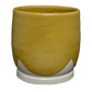 MS-15 OCHRE GLAZE