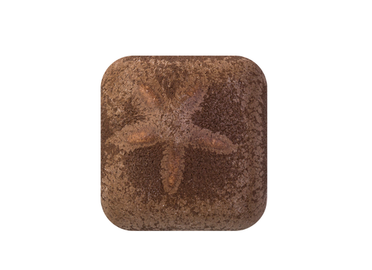 MS-257 CHOCOLATE GLAZE