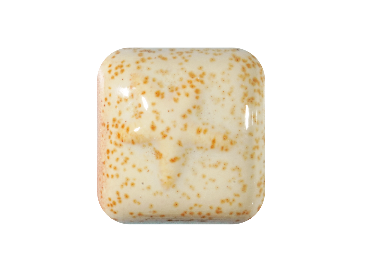RG-1 MUSHROOM ^5 GLAZE-Dry